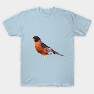 Sing Like A Robin T-Shirt